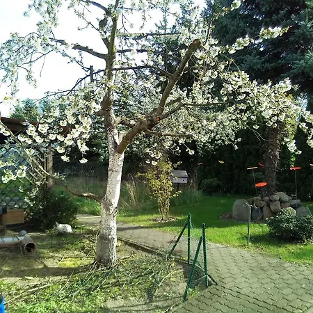 Steffis Zimmervermietung Homestay *