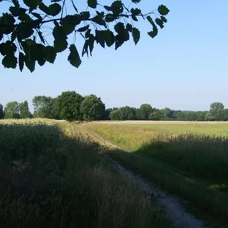 Steffis Zimmervermietung