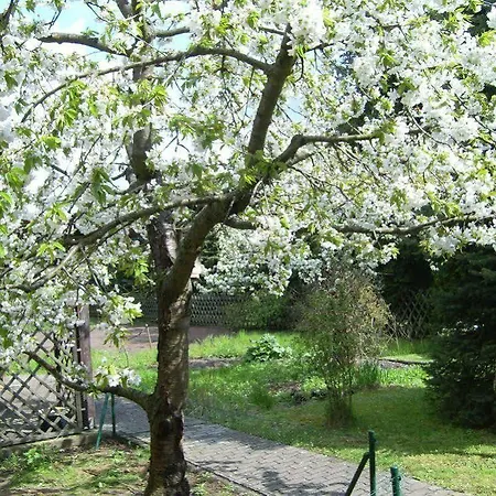 Steffis Zimmervermietung Graben (Brandenburg)